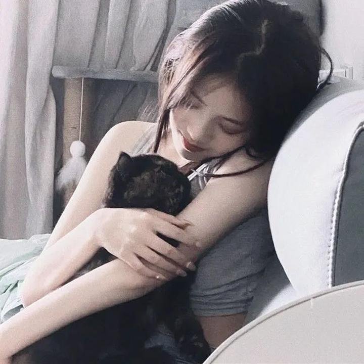 春风替我遇见你